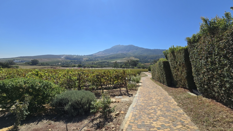 Commercial Property for Sale in Wellington Central Western Cape
